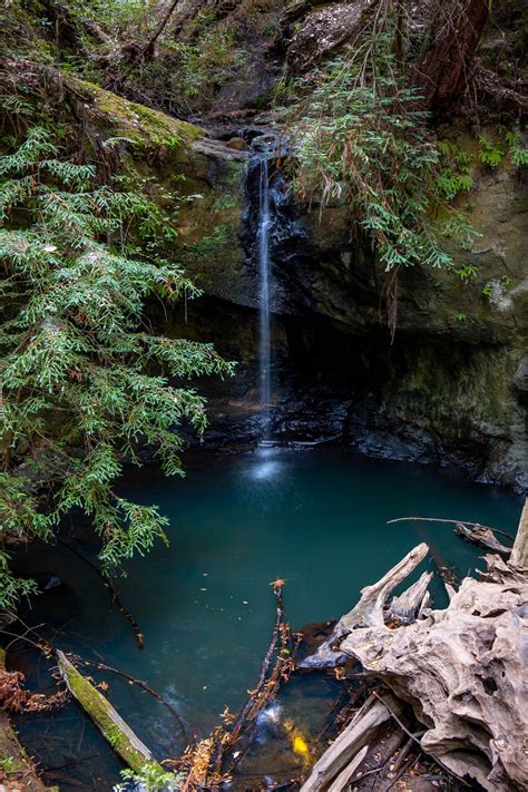 Waterfall hikes. San Francisco South Bay and Peninsula edition | Waterfall hikes, Castle rock ...