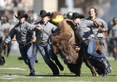 Gameday Live: USC defeats Colorado 35-31 - Sports Illustrated Colorado ...