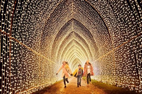 Houston Botanic Gardens Lands a New Holiday Light Show That's Wowed in London — Lightscape is ...