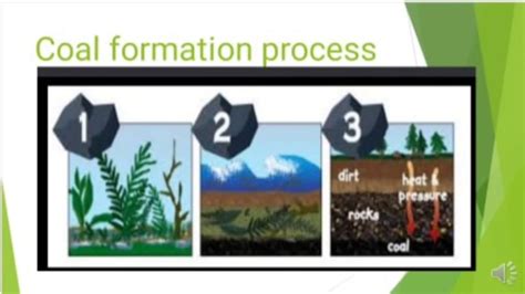 Formation of coal - YouTube