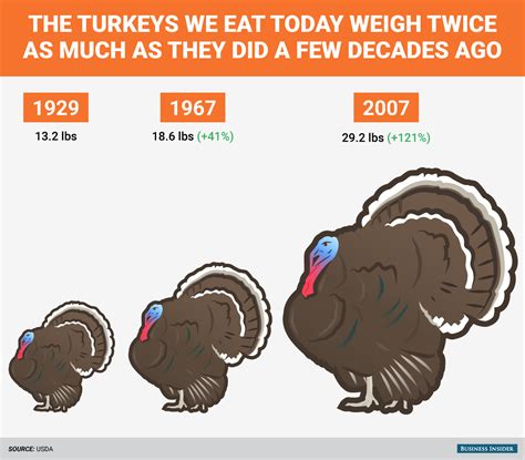 How big turkeys were then and now - Business Insider