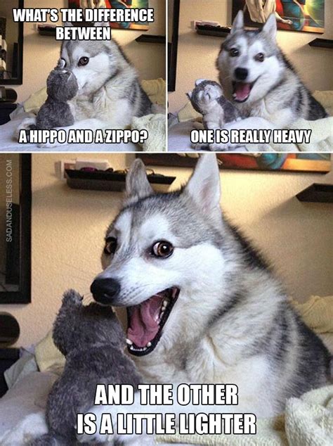 Pun Dog | Funny dog jokes, Dog puns, Funny animal jokes