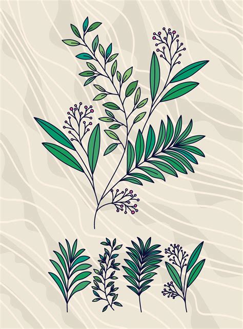 olive branches set 21379776 Vector Art at Vecteezy