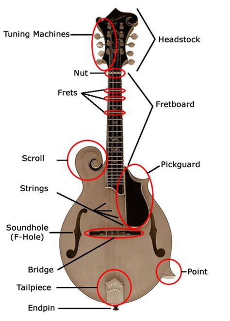 Mandolin Instruction - Junior Appalachian Musicians