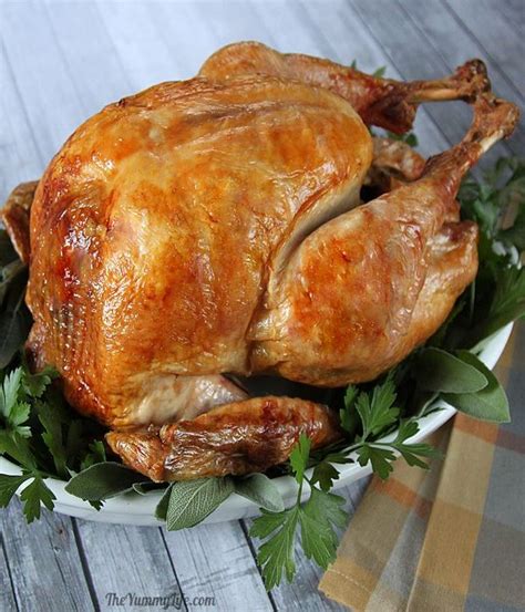 thanksgiving turkey recipes 14 – Easyday