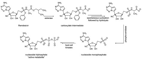 Chemical structure of remdesivir and schematic representation of its... | Download Scientific ...