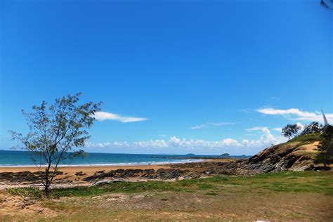 NY DAY EMU PARK | Emu Pak near Yeppoon central Qld is a love… | Flickr