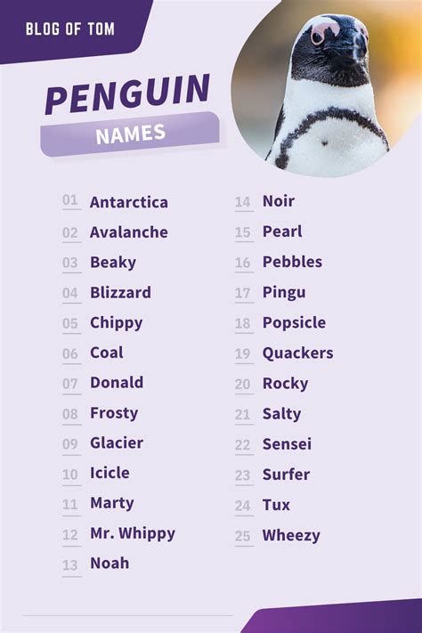 199+ Penguin Names (Best, Cute & Funny Naming Ideas) in 2022 | Penguin ...