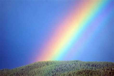 Rainbow Nature Wallpapers - Top Free Rainbow Nature Backgrounds - WallpaperAccess