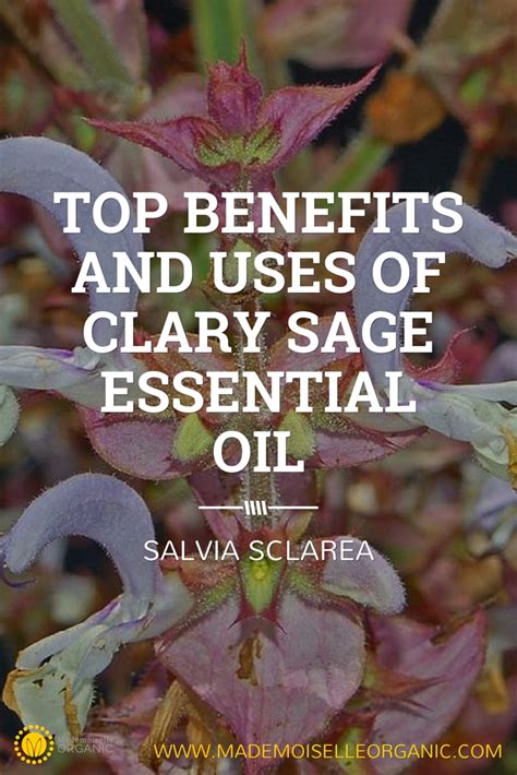 Top benefits and uses of Clary Sage Essential Oil