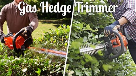 Best Gas Hedge Trimmer in 2022 – We Suggest & Recommend! - YouTube