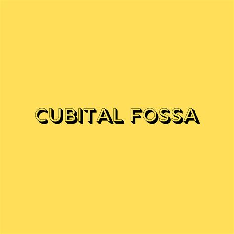 Cubital fossa | Angelina Issac