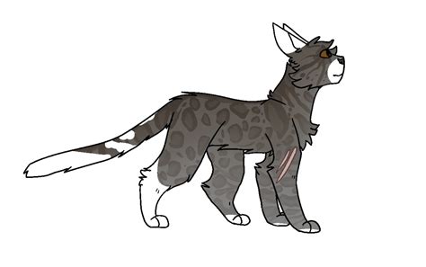 Warrior Cat OC Generator