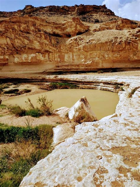 Local Guides Connect - Ein Yorkeam - Dimona, Desert Natural reserve Isra... - Local Guides Connect