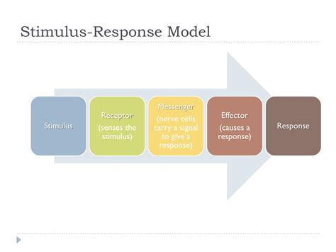 PPT - Stimulus and Response PowerPoint Presentation, free download - ID ...