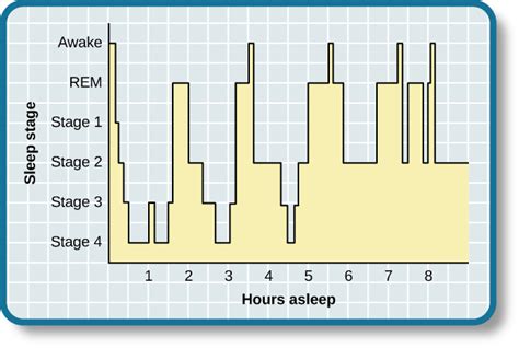 Stages of Sleep | Introductory Psychology