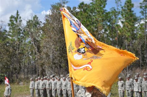 File:153rd Cavalry, Darkhorse Squadron, Florida National Guard, Colors with Streamers 2009.JPG ...