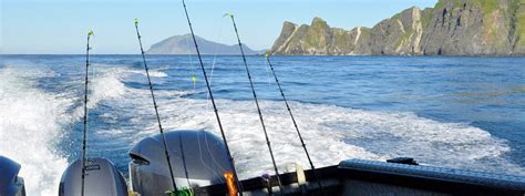 Best of Homer Alaska Fishing Charters - Photo Archives