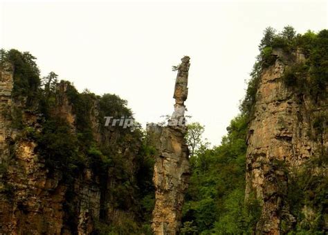 Wulingyuan Scenic Area - Wulingyuan Scenic and Historic Interest Area Photos