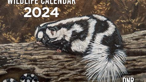 2024 West Virginia Wildlife Calendar now available to purchase - WVDNR