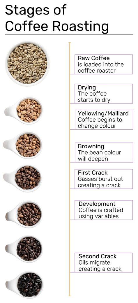 Antwort What are the levels of coffee roasting? Weitere Antworten – What are coffee roasting ...