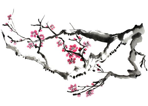 Japanese Cherry Blossom Tree Drawings Cherry Drawing Tree Blossom 14820 | The Best Porn Website