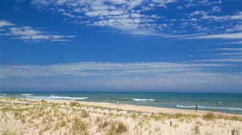 7 Best Beaches in the Hamptons - Insider Hamptons