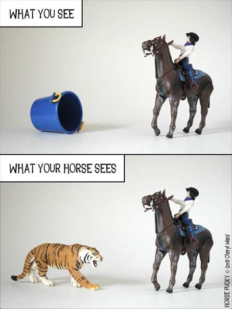 Horse Pucky: Double Vision | Horses, Funny horse memes, Horse meme