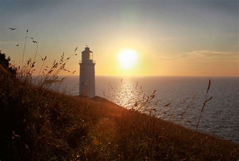 Sunset with Trevose Head Lighthouse and Kestrel, by Susie Ray | Trevose ...