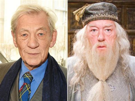 Ian McKellen Explains Why He Passed On Playing Dumbledore in 'Harry ...