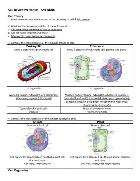 Cell Review WS ANSWERS - SchoolNotes