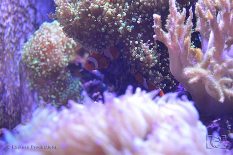 Photo by Express Productions. Taken at the ABQ BioPark - Aquarium in Albuquerque, New Mexico ...