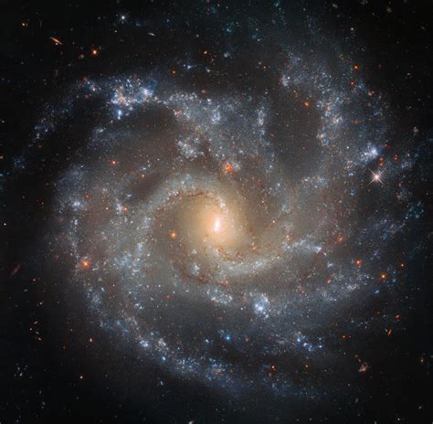 Hubble Spots Galaxy’s Dramatic Details | Hubble images, Galaxy images ...