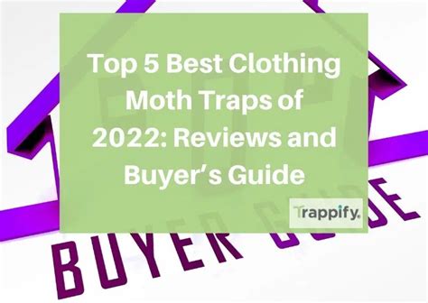 Top 5 Best Clothing Moth Traps of 2022: Reviews and Buyer’s Guide