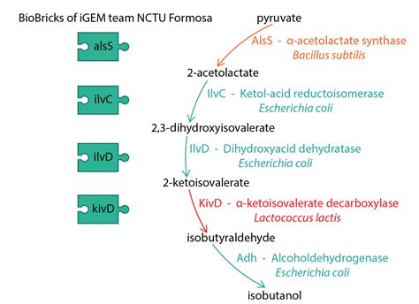 Part:BBa K1465306 - parts.igem.org