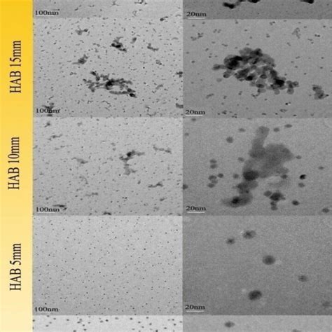 TEM images of soot particles at different heights above the burner ...