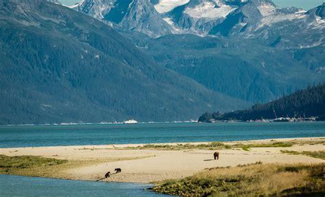 Chilkoot Lake Wilderness & Wildlife Viewing Tour in Haines, Alaska