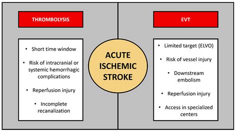 Biomedicines | Free Full-Text | Nanotechnology in Stroke: New Trails ...