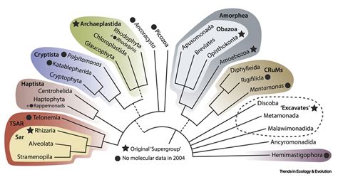 What biologists call a species is becoming more than just a name