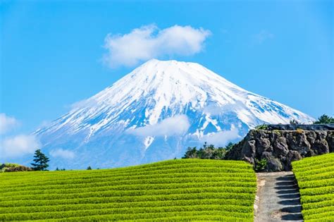 The Top 6 Must-See Cities in Shizuoka Prefecture – skyticket Travel Guide