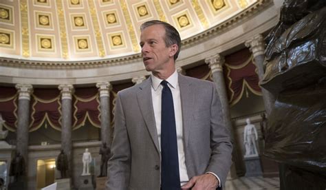 John Thune says Senate Intelligence Committee should see memo before ...