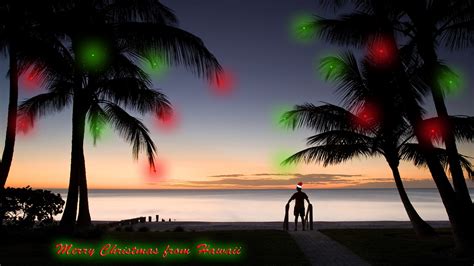 Christmas in hawaii Christmas dark holidays island lights palms Santa HD wallpaper | nature and ...