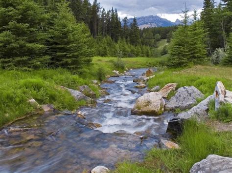 Fiume che scorre tra la foresta HD Desktop Wallpaper: Widescreen: alta ...