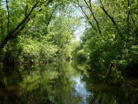 Canoe Trip - Ipswich River Recreation Project