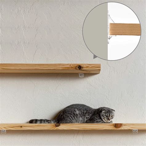 Plastic Locking Shelf Pins Cabinet Shelf Support Pegs Locking Shelf ...