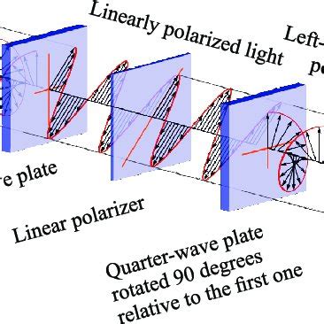 Linear polarization of light. | Download Scientific Diagram