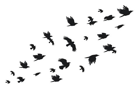 Flock of crows. Flying black birds in sky monochrome flutter raven sil By Tartila | TheHungryJPEG