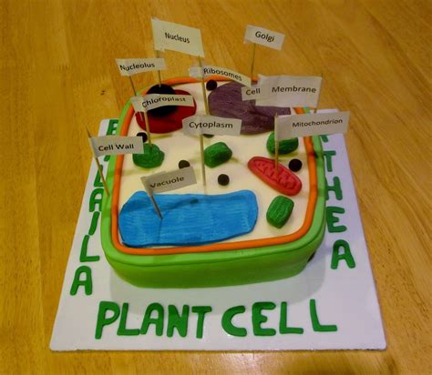 Image result for homemade cell model project ideas | Plant cell project models, Plant cell, Cell ...