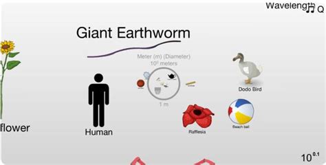 A Homeschool Lesson to Blow Your Mind: Interactive Scale of the ...