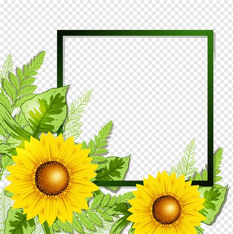 Sunflower Border Design